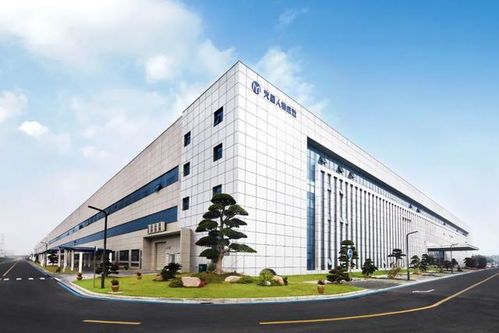 這一代新中產(chǎn)為何青睞技術服務