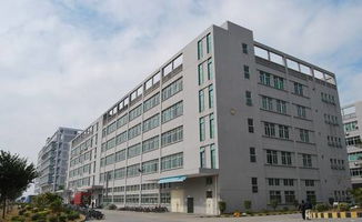 鳳岡泰川麻將機10周年慶，特價988元，驚喜大獎等你來抽！