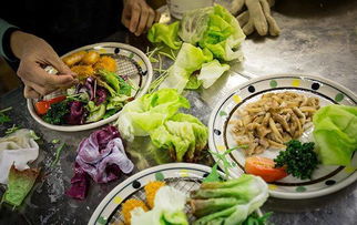 小伙仿真菜模創業,從傳菜工到千萬家產的老板