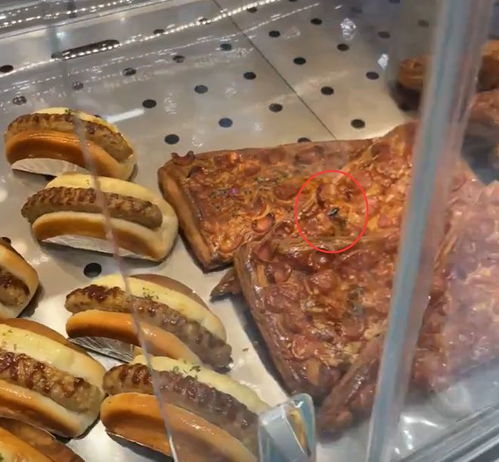 網友爆料 沭陽某知名糕點店有蒼蠅在食品上亂爬 店員趕走后繼續賣...