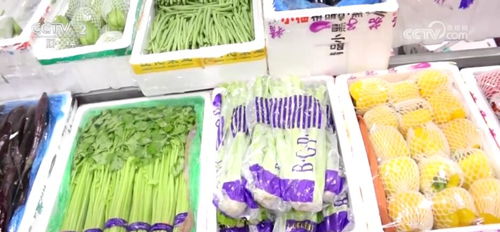 節(jié)日市場供應(yīng)總量充足 菜籃子和肉案子 購銷兩旺