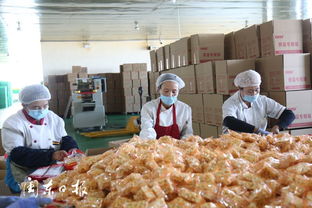 寧德產(chǎn)業(yè)援疆項目豐盛食品公司 帶動呼圖壁群眾增收致富