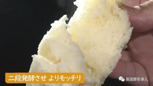 日本點心廠花4個月做出沒餡的包子,一盒售價約65元,網友 就是饅頭啊